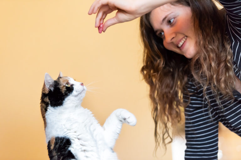 Lær din kat tricks: tricks til intelligente katte! | zooplus Magasin